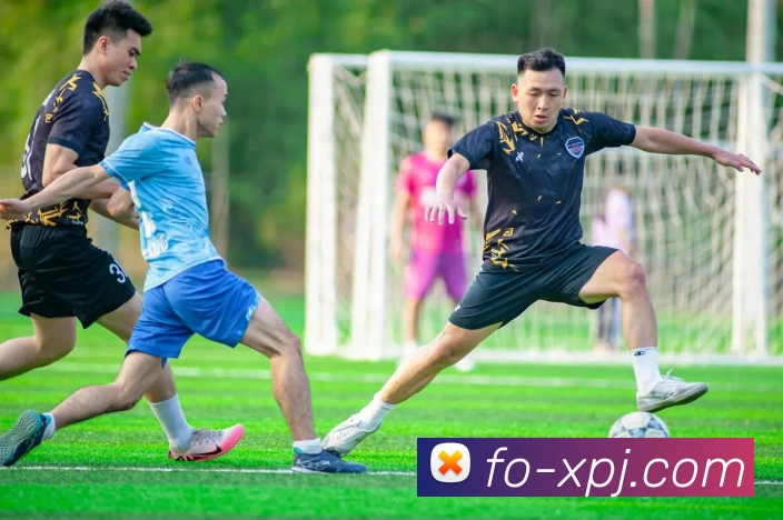 新葡京娱乐平台生态图